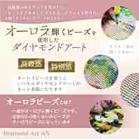 Amazon.co.jp: 《AN-diaart》オーダーメイド ダイヤモンドアート